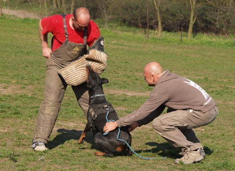 Training 26. 3. 2007